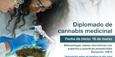 Diplomado de cannabis