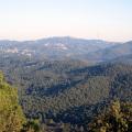 Excursión por Collserola