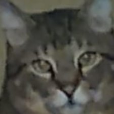 Fernando 